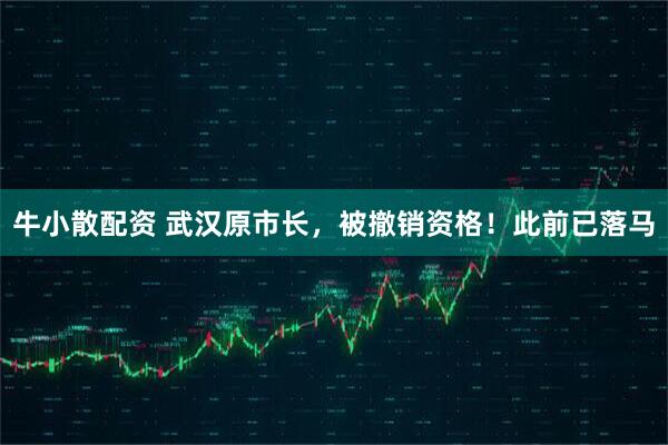 牛小散配资 武汉原市长，被撤销资格！此前已落马