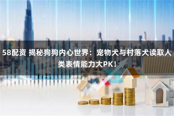 58配资 揭秘狗狗内心世界：宠物犬与村落犬读取人类表情能力大PK！