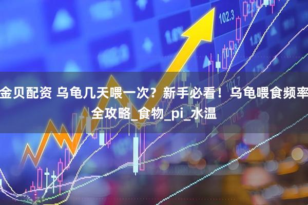 金贝配资 乌龟几天喂一次？新手必看！乌龟喂食频率全攻略_食物_pi_水温